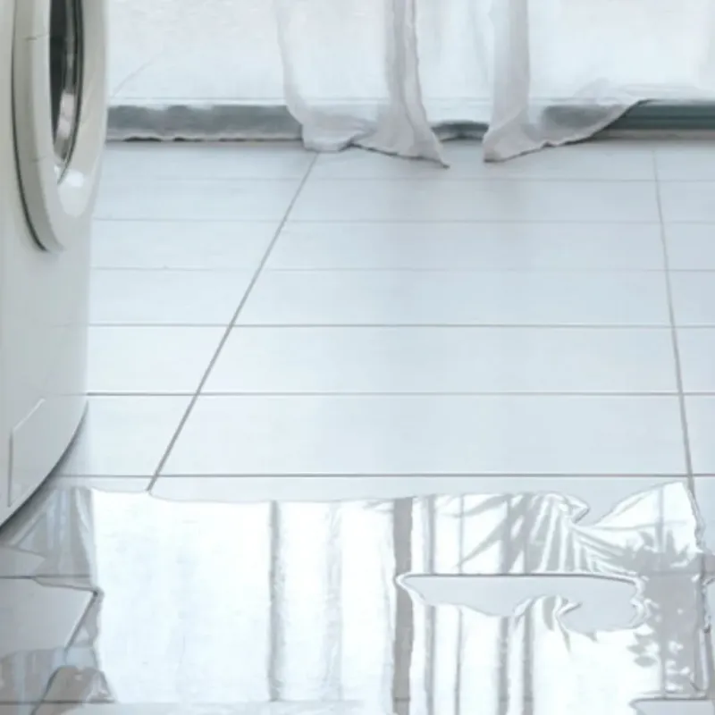 Appliance Leak Cleanup in Van Buren, ME