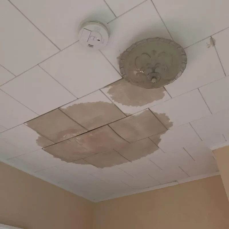 Ceiling Water Damage Repair in Van Buren, ME