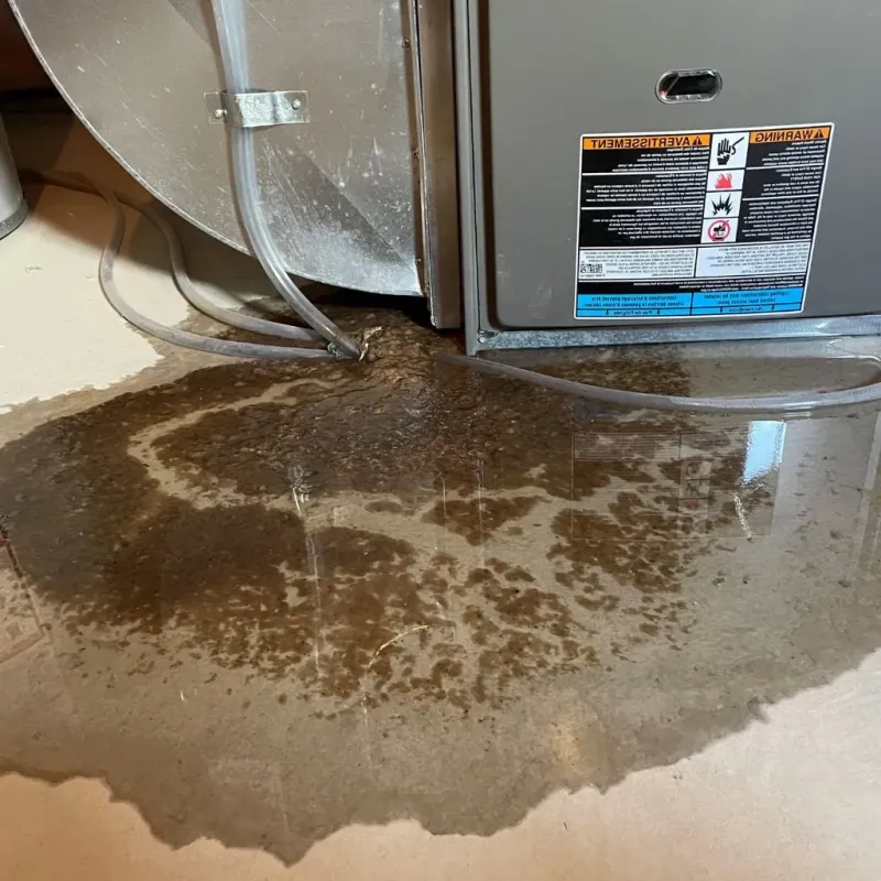 Pipe Burst and Leak Restoration in Van Buren, ME