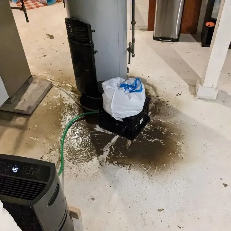 Sewage Backup Cleanup Service in Van Buren, ME